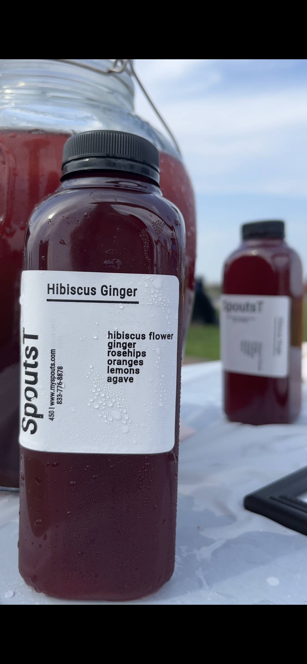 Hibiscus Ginger